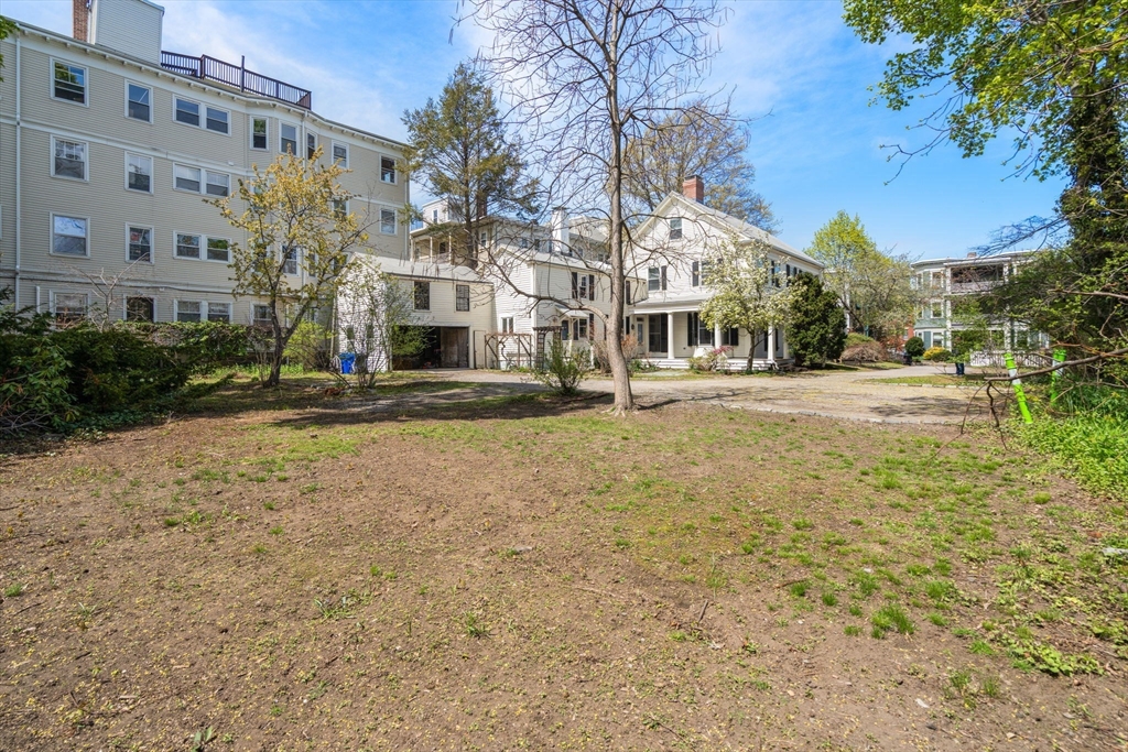 19 Linden Street, Brookline, MA Photo #31