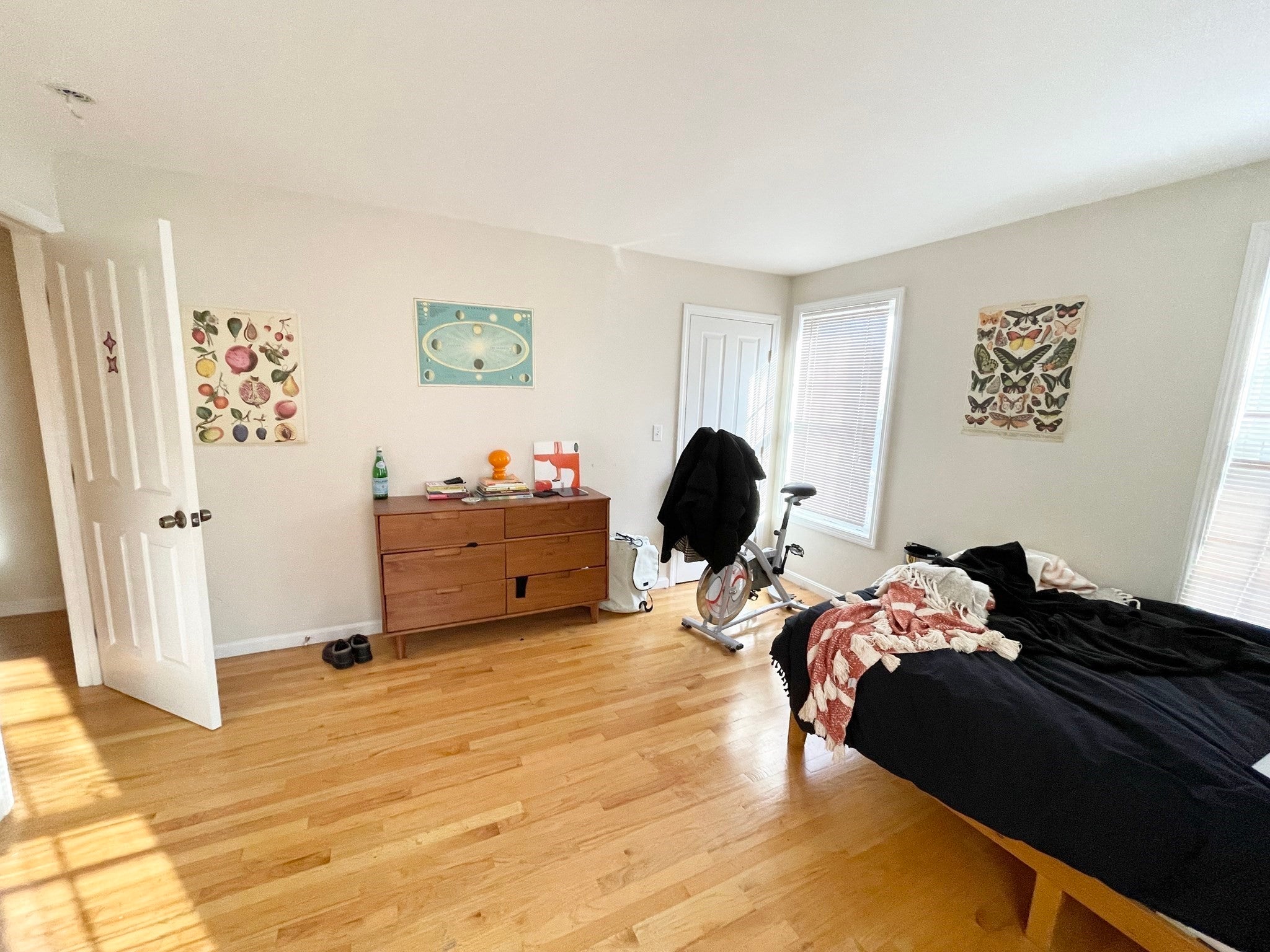 6 Harleston St #6, Boston, MA, 6 Harleston St #6, Boston, MA Photo #7