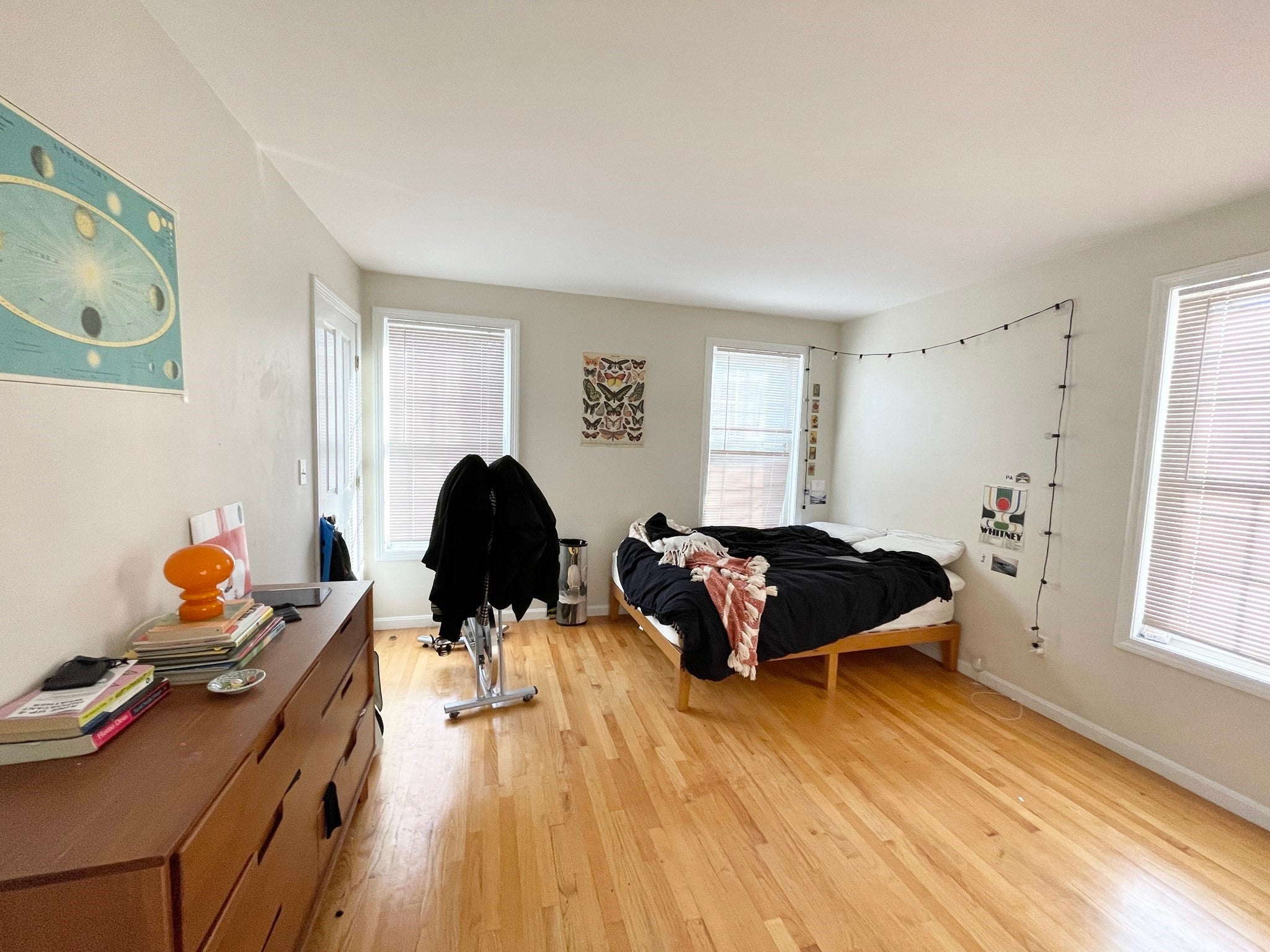 6 Harleston St #6, Boston, MA, 6 Harleston St #6, Boston, MA Photo #8