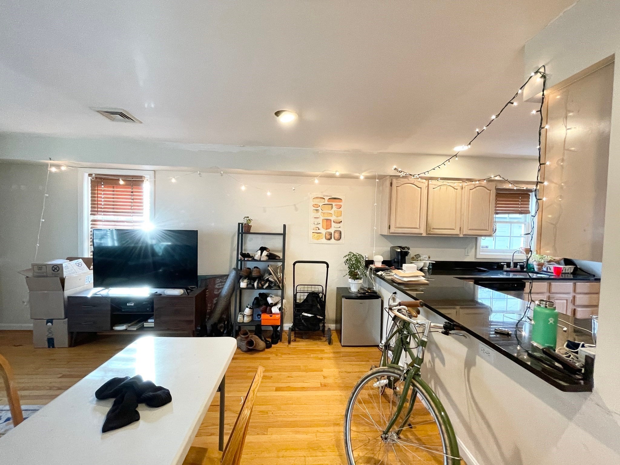 6 Harleston St #6, Boston, MA, 6 Harleston St #6, Boston, MA Photo #3