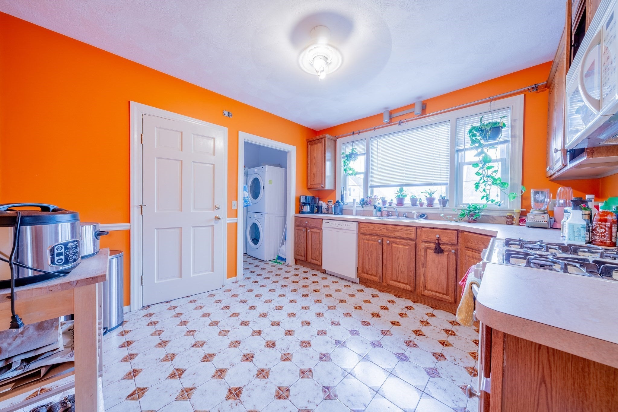 7-9 Ware Street #2, Somerville, MA, 7-9 Ware Street #2, Somerville, MA Photo #2