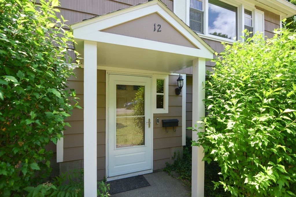 12 Lanewood Avenue