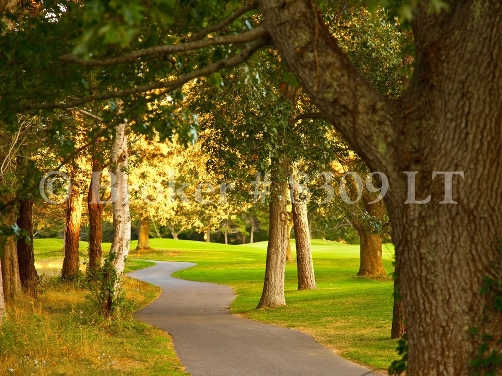 27 Billington Ln #27, Brewster, MA Photo #29
