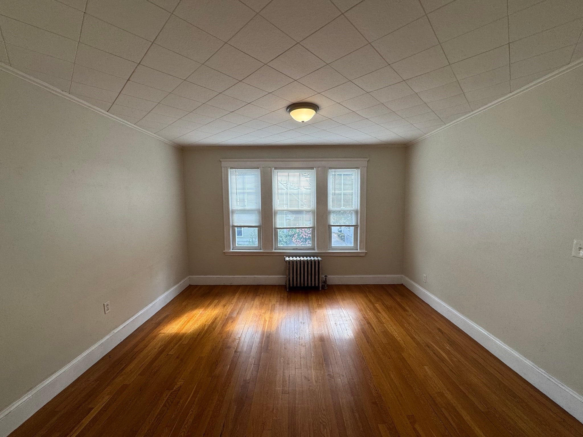 19 Everdean St #2, Boston, MA Photo #13