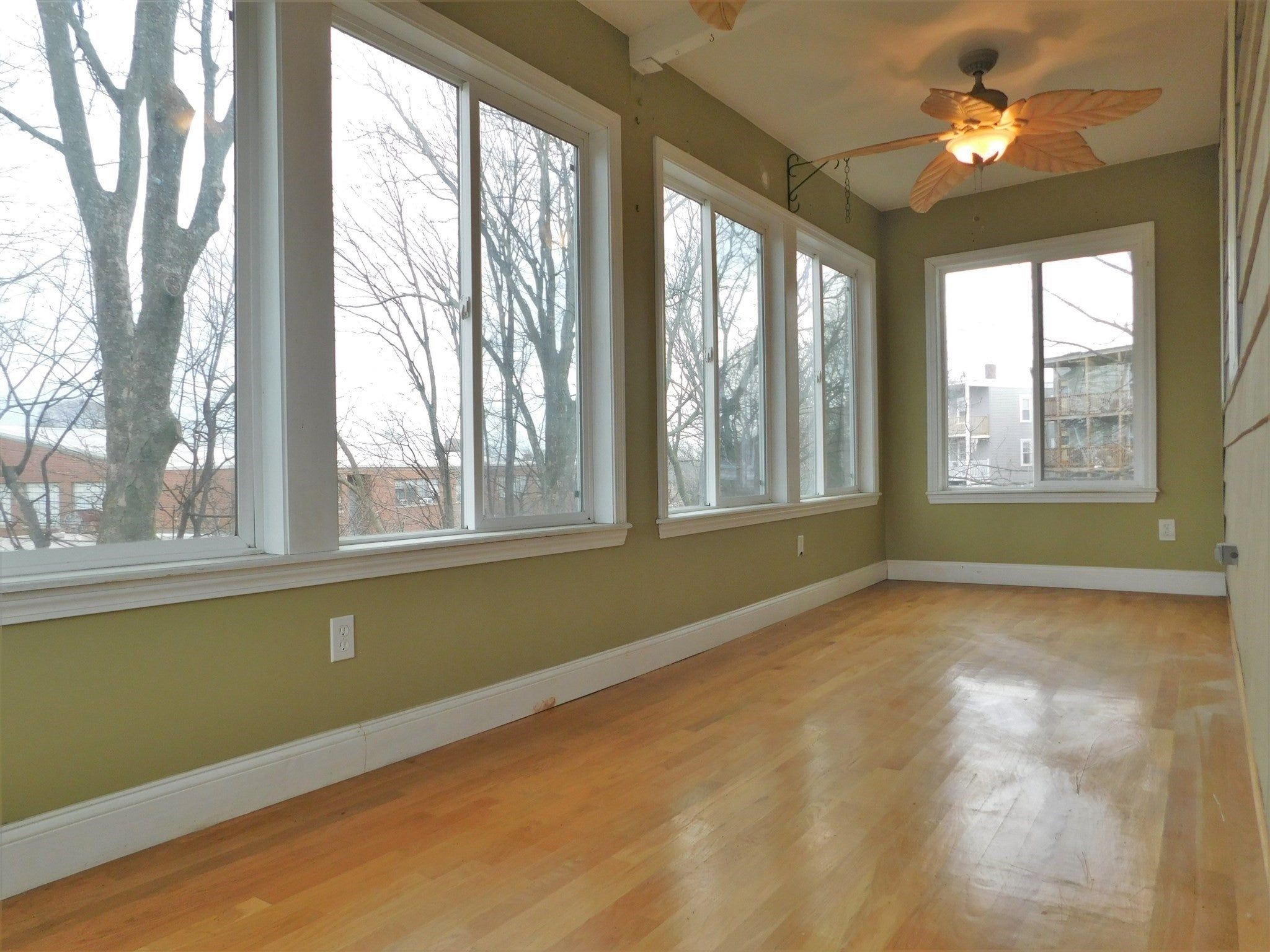 17 Manley St #2, Boston, MA Photo #14
