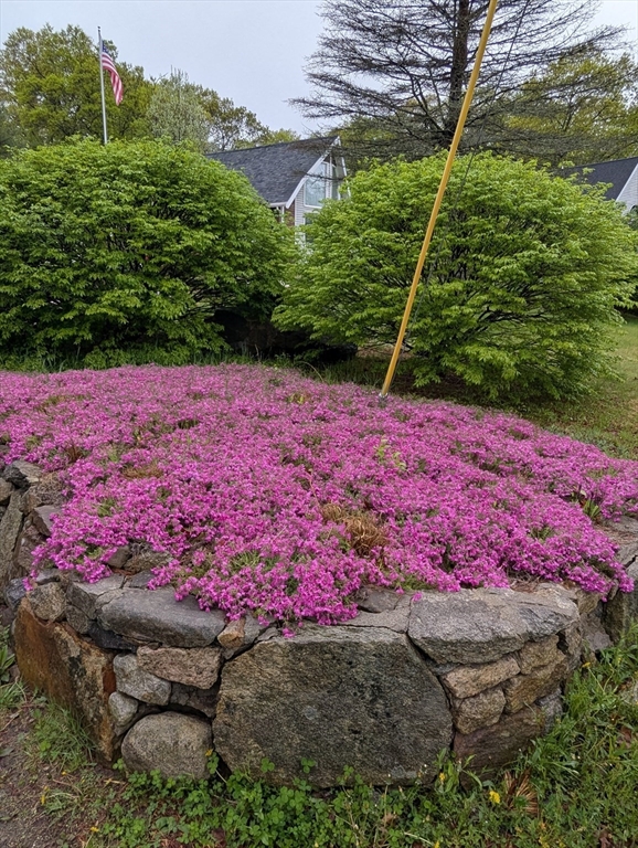 Bellingham, Massachusetts 02019, United States, 3 Bedrooms Bedrooms, ,3 BathroomsBathrooms,Residential,Pending,135664