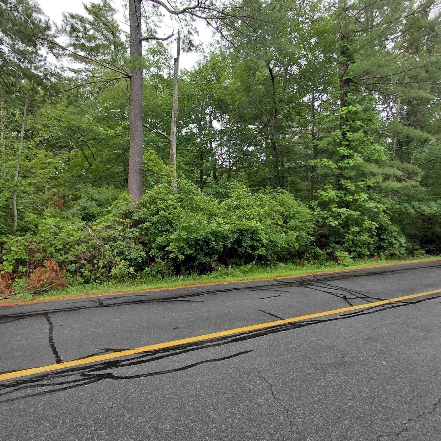 0 Brant Beach Avenue