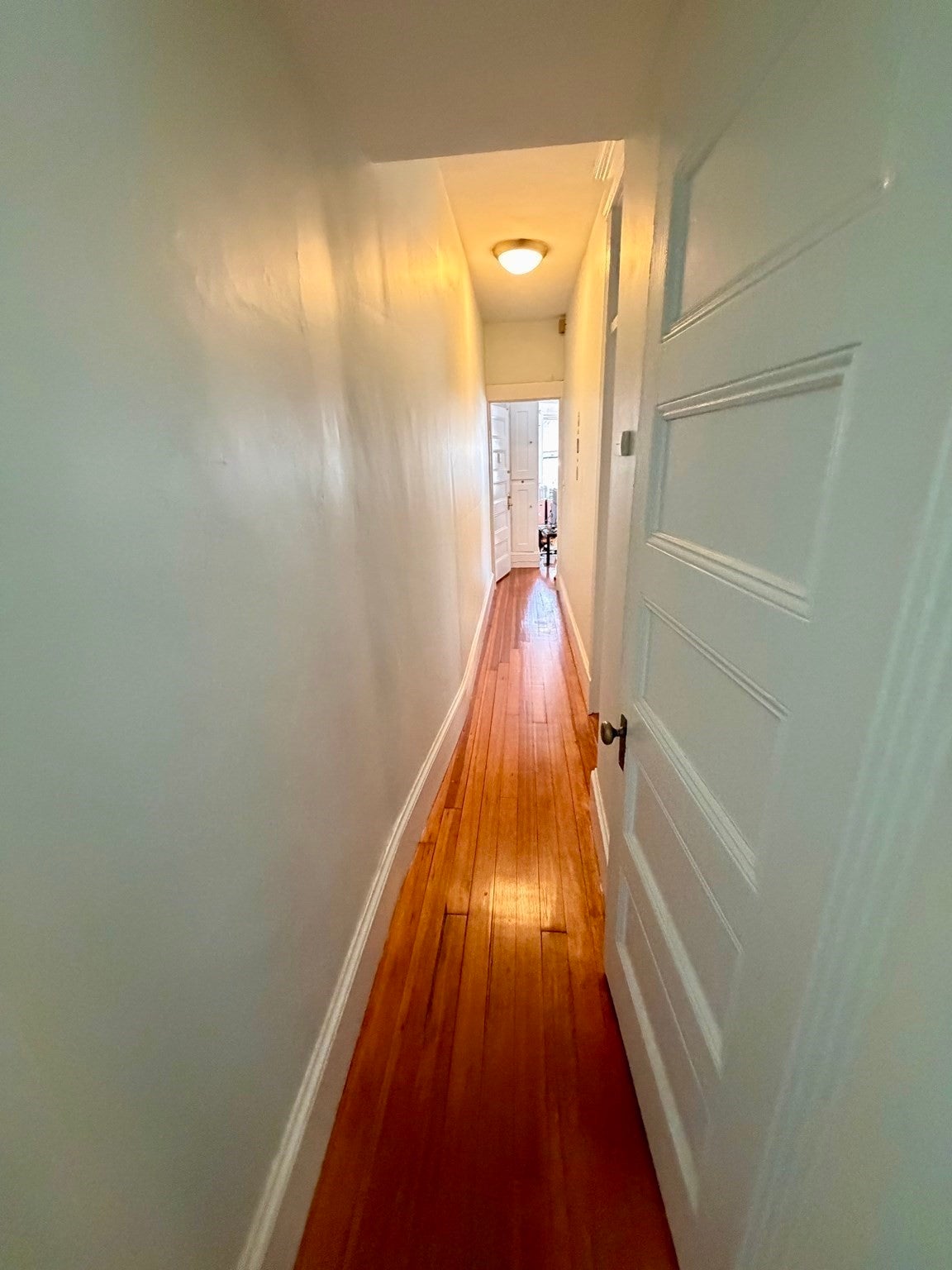 5 Winchester St #202, Brookline, MA, 5 Winchester St #202, Brookline, MA Photo #5