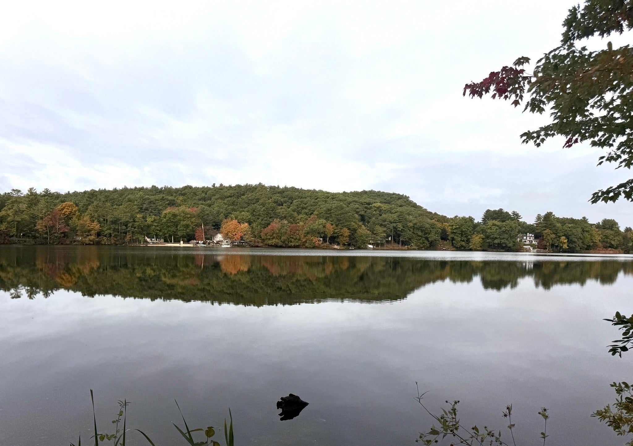 557 Federal St, Belchertown, MA, 557 Federal St, Belchertown, MA Photo #40