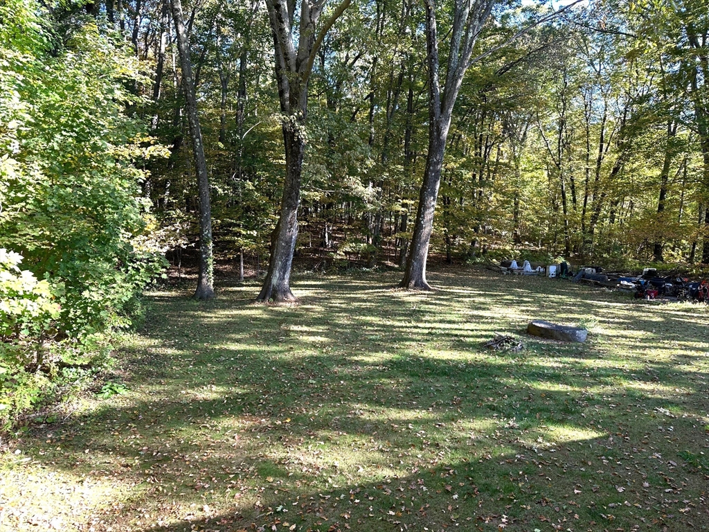 113 Princeton Rd.