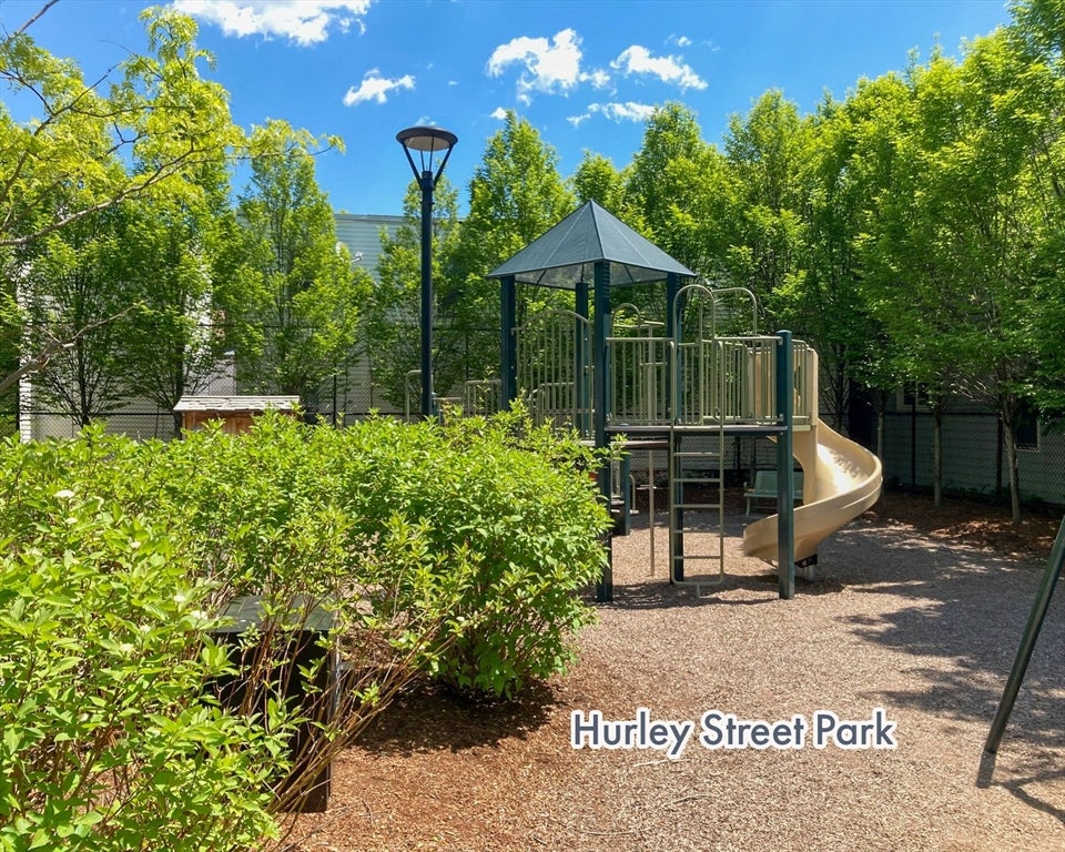 327-329 Hurley St #2, Cambridge, MA, 327-329 Hurley St #2, Cambridge, MA Photo #35