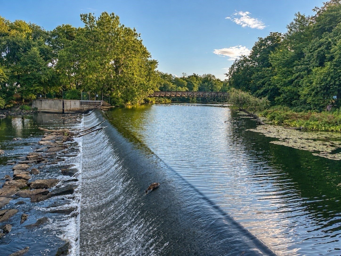 57 Pleasant St #B, Watertown, MA Photo #21