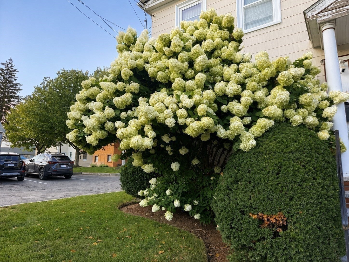 57 Pleasant St #B, Watertown, MA Photo #17