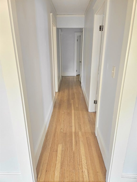 19 Rowe St #., Newton, MA, 19 Rowe St #., Newton, MA Photo #10
