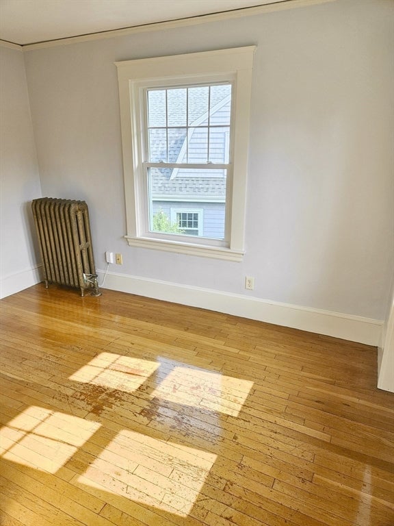 19 Rowe St #., Newton, MA, 19 Rowe St #., Newton, MA Photo #6