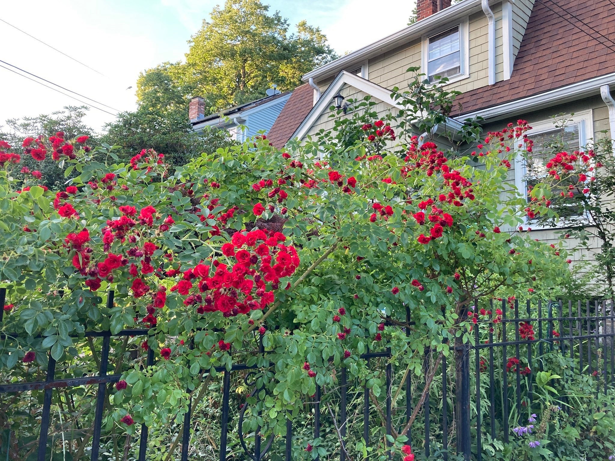 19 Deforest St, Boston, MA, 19 Deforest St, Boston, MA Photo #36