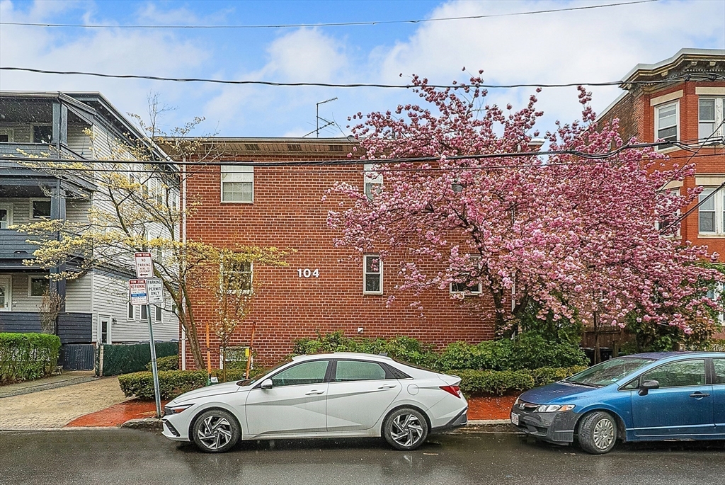 104 Trowbridge St #4, Cambridge, MA, 104 Trowbridge St #4, Cambridge, MA Photo #11