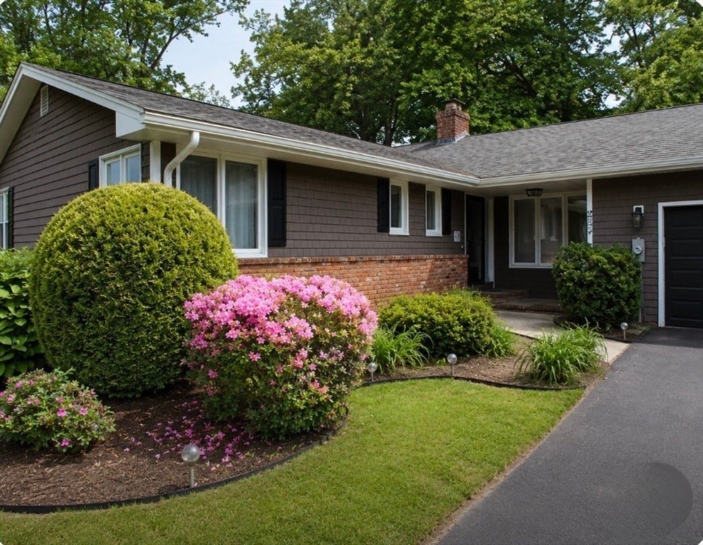 225 Braemoor Rd