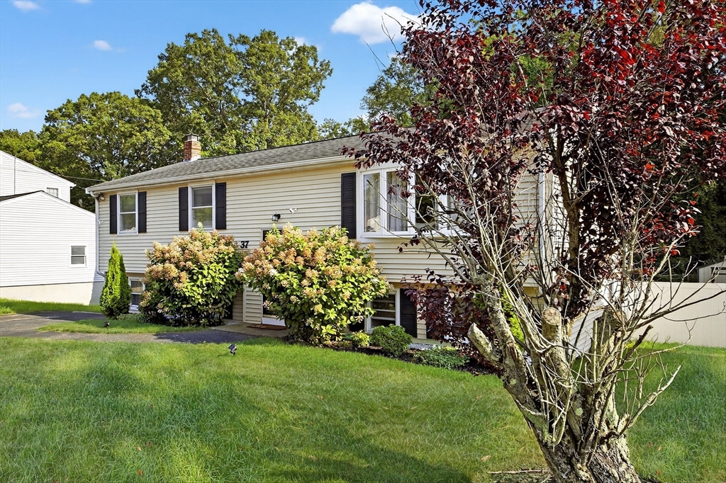 37 Westgate Rd
