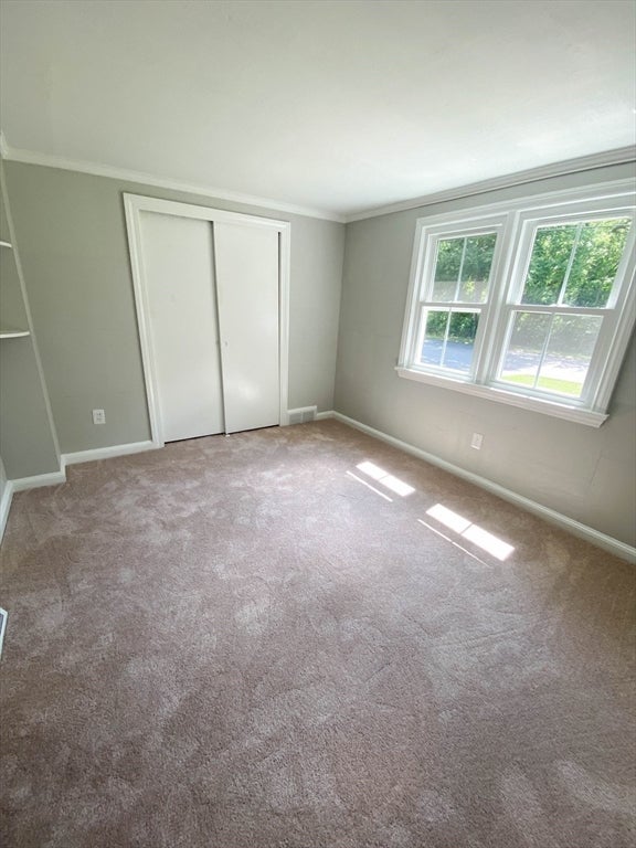 27 Cole Terrace, Randolph, MA Photo #35