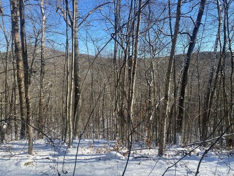 Photo of 593 Old Warren Road, Palmer, MA 01069 (MLS # 73462618)