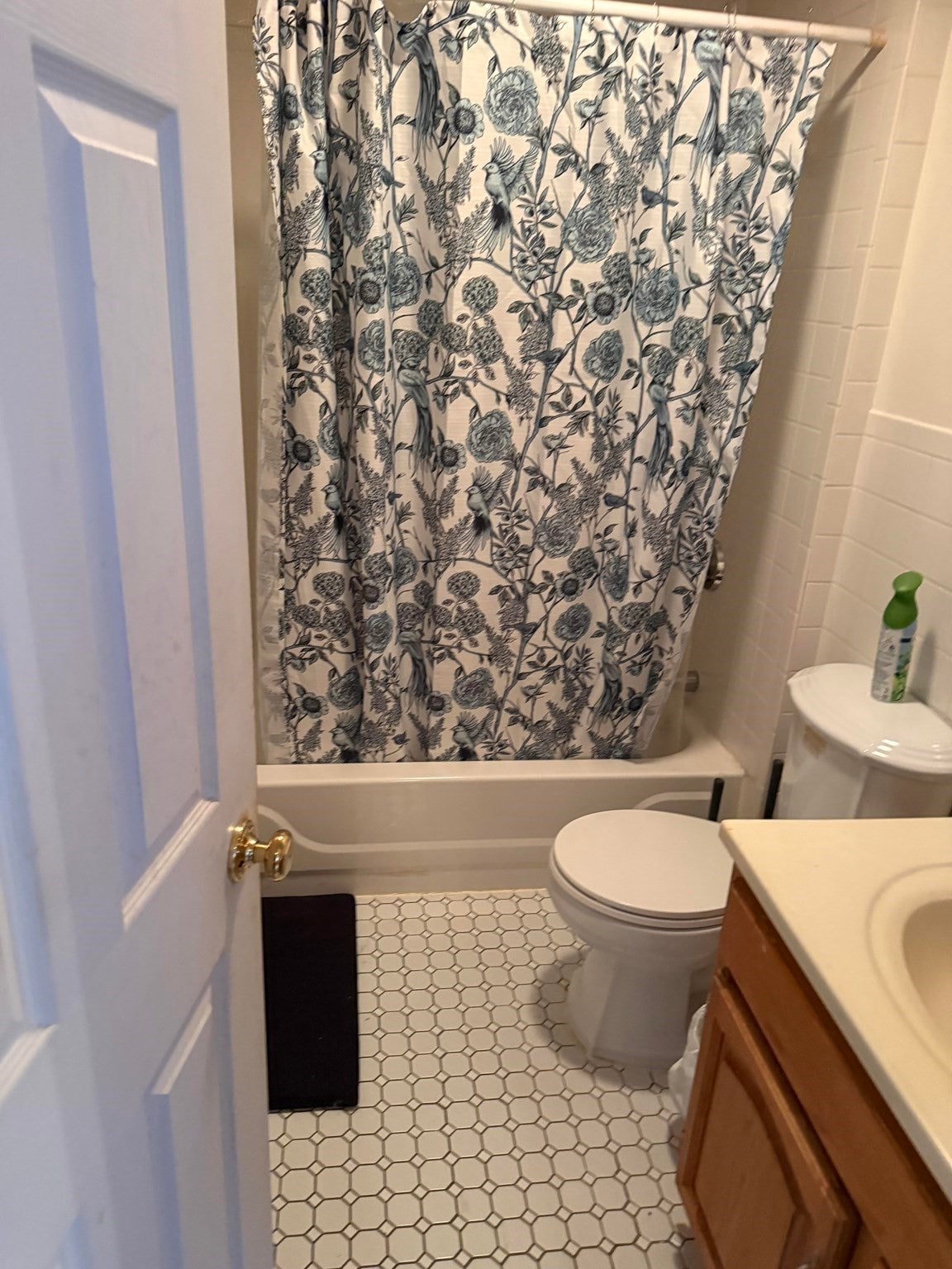 372 Huntington Ave, Boston, MA, 372 Huntington Ave, Boston, MA Photo #7