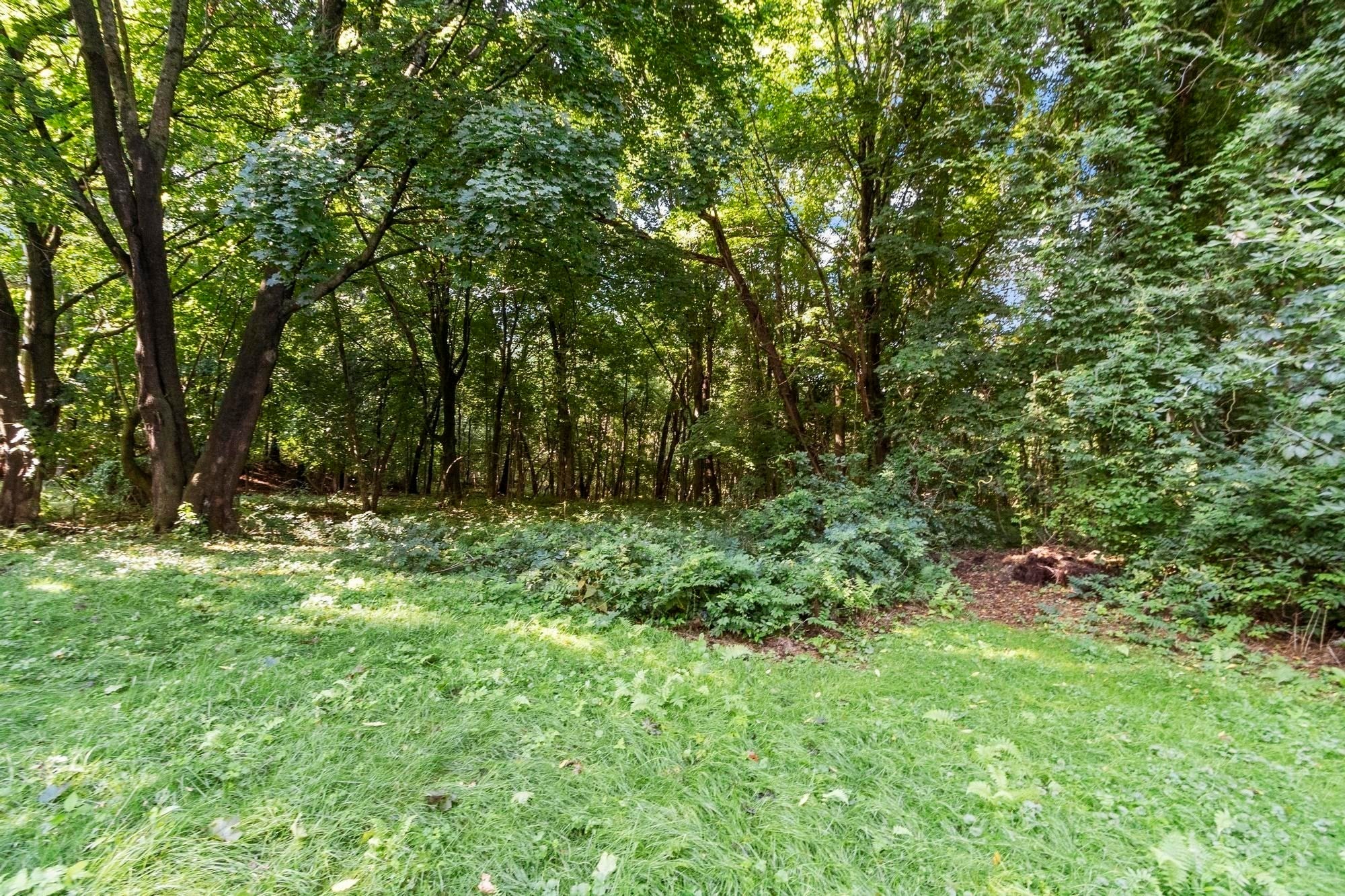 102 Park Street, North Reading, MA, 102 Park Street, North Reading, MA Photo #42