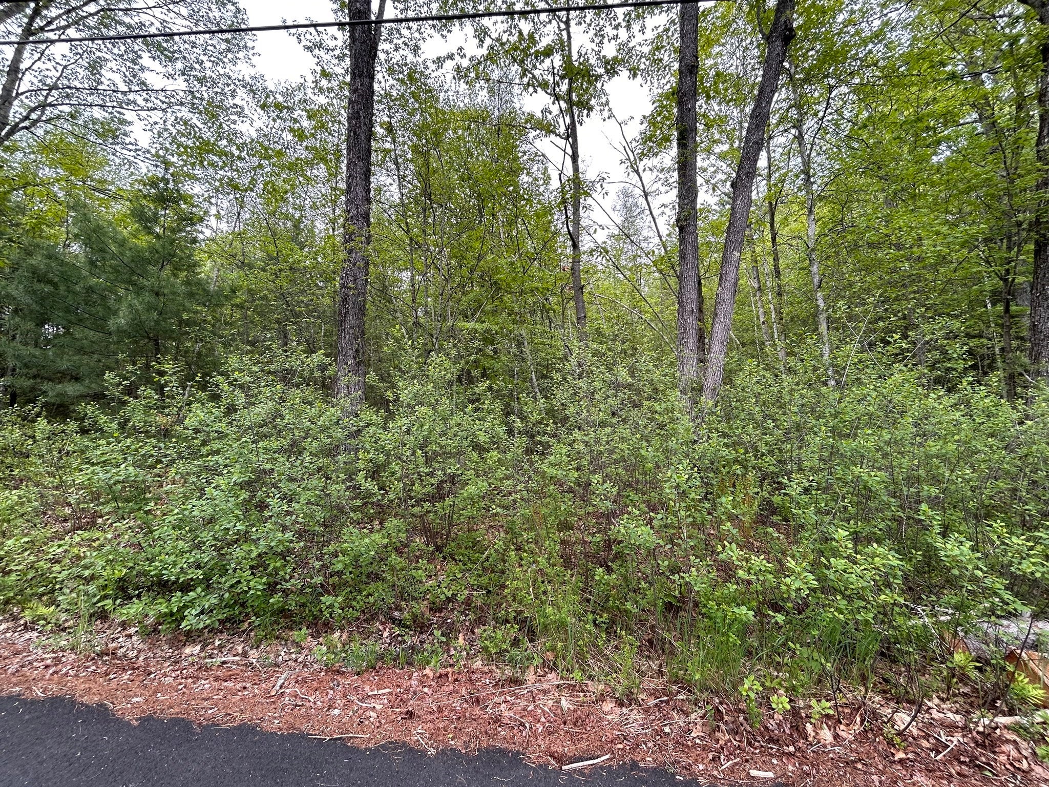 0 Lot 2 Stoddard Rd