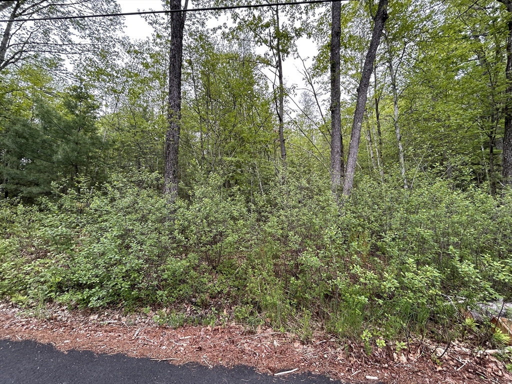 0 Lot 2 Stoddard Rd