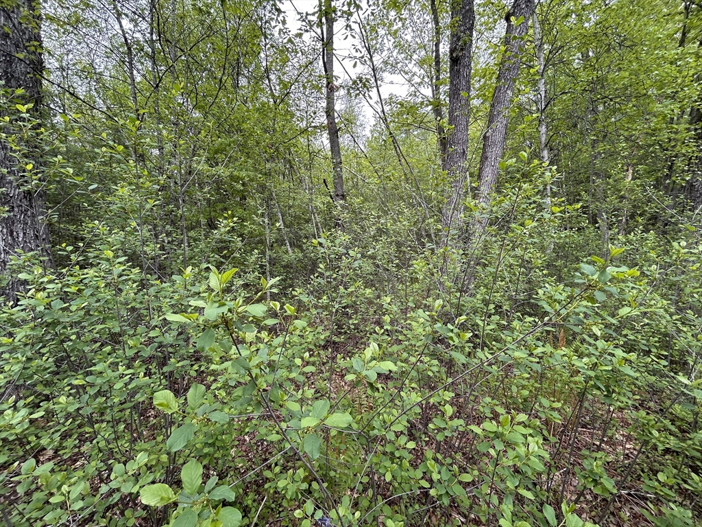 0 Lot 2 Stoddard Rd