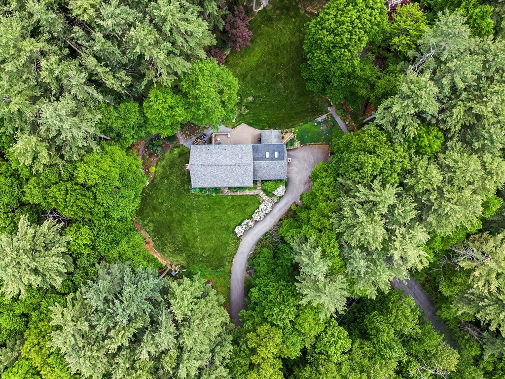 29 Pond St