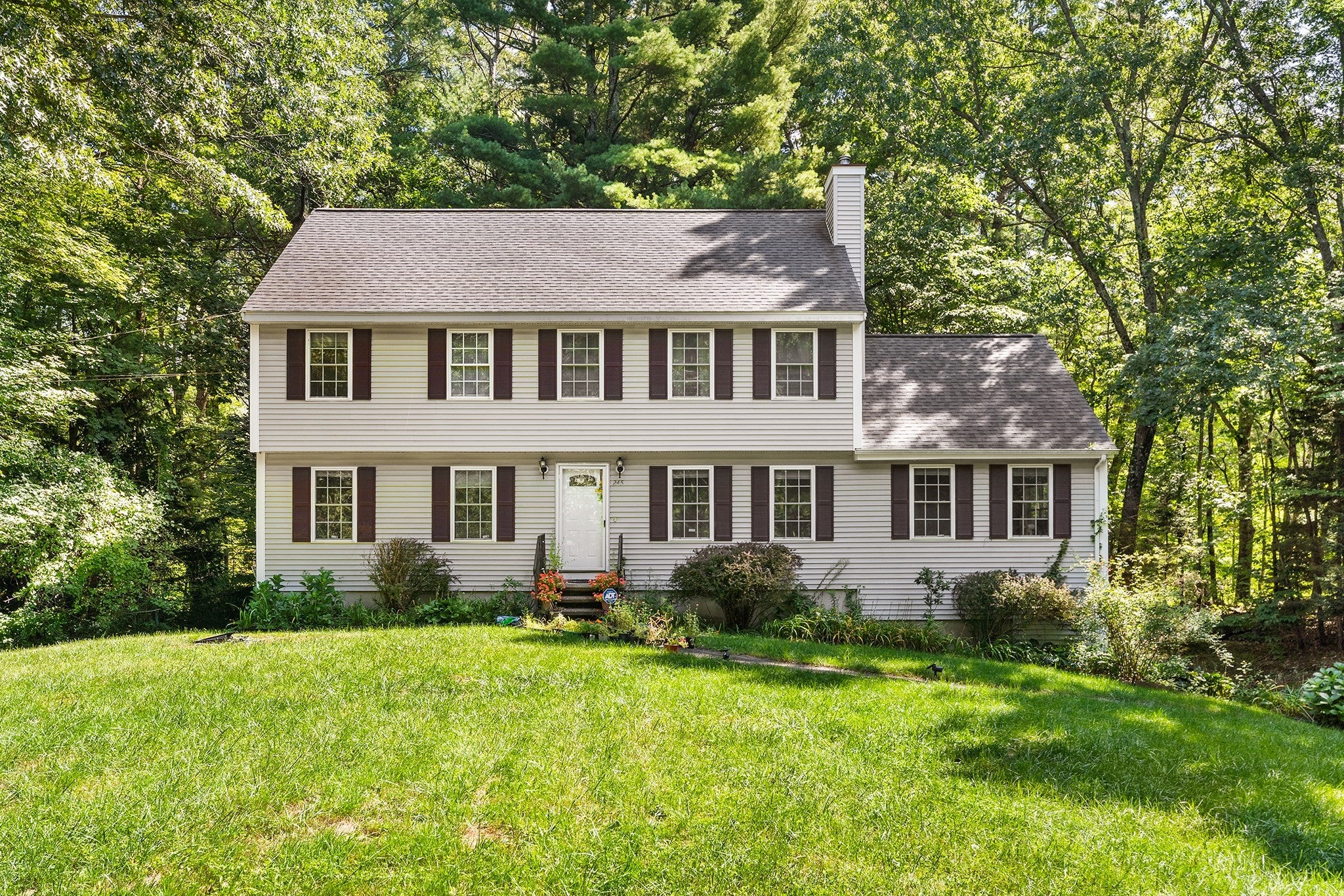 245 Hampstead St