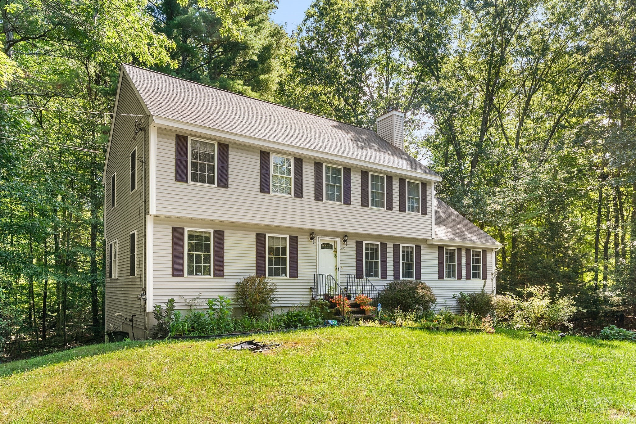 245 Hampstead St