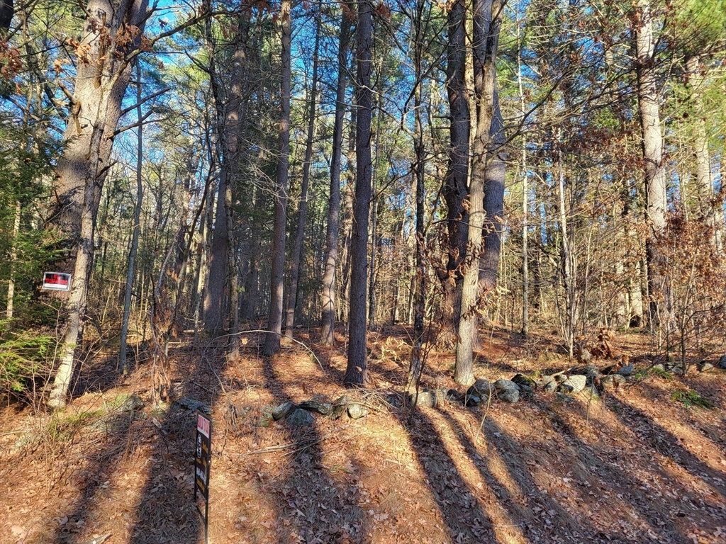14 Goodell Rd