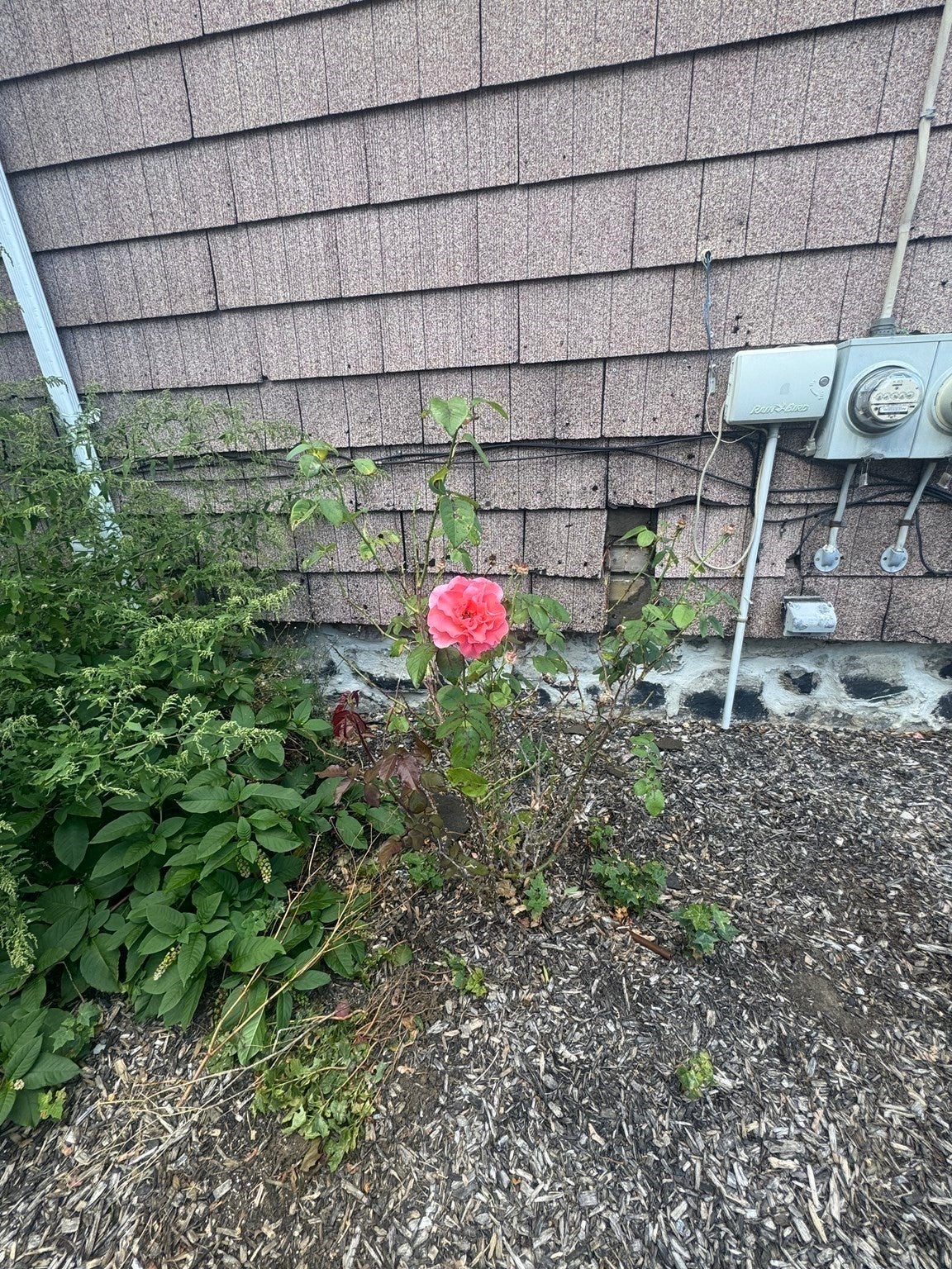 58 Chatham Road, Everett, MA Photo #23