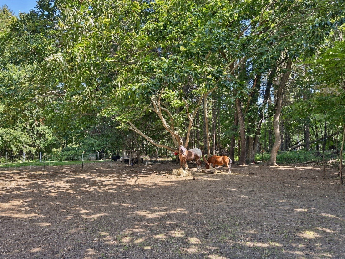 5 Putnam Hill Rd, Sutton, MA Photo #31