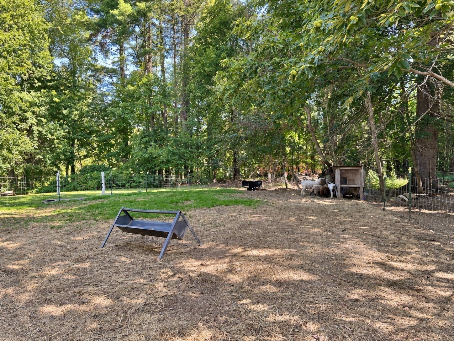 5 Putnam Hill Rd, Sutton, MA Photo #32