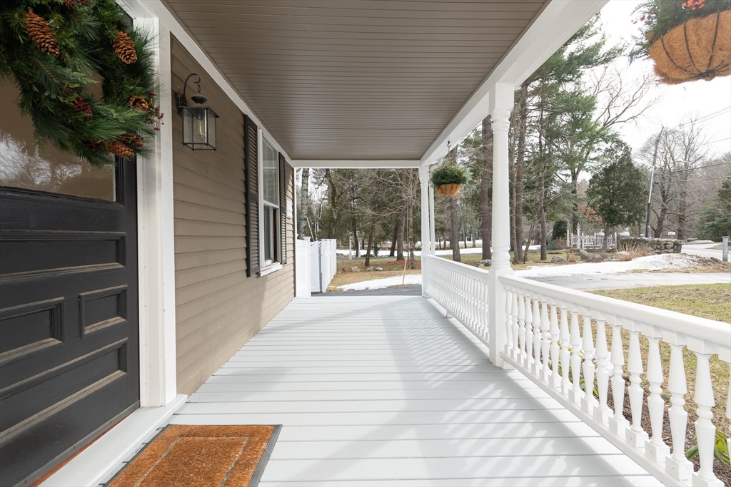 556 Wellesley Street