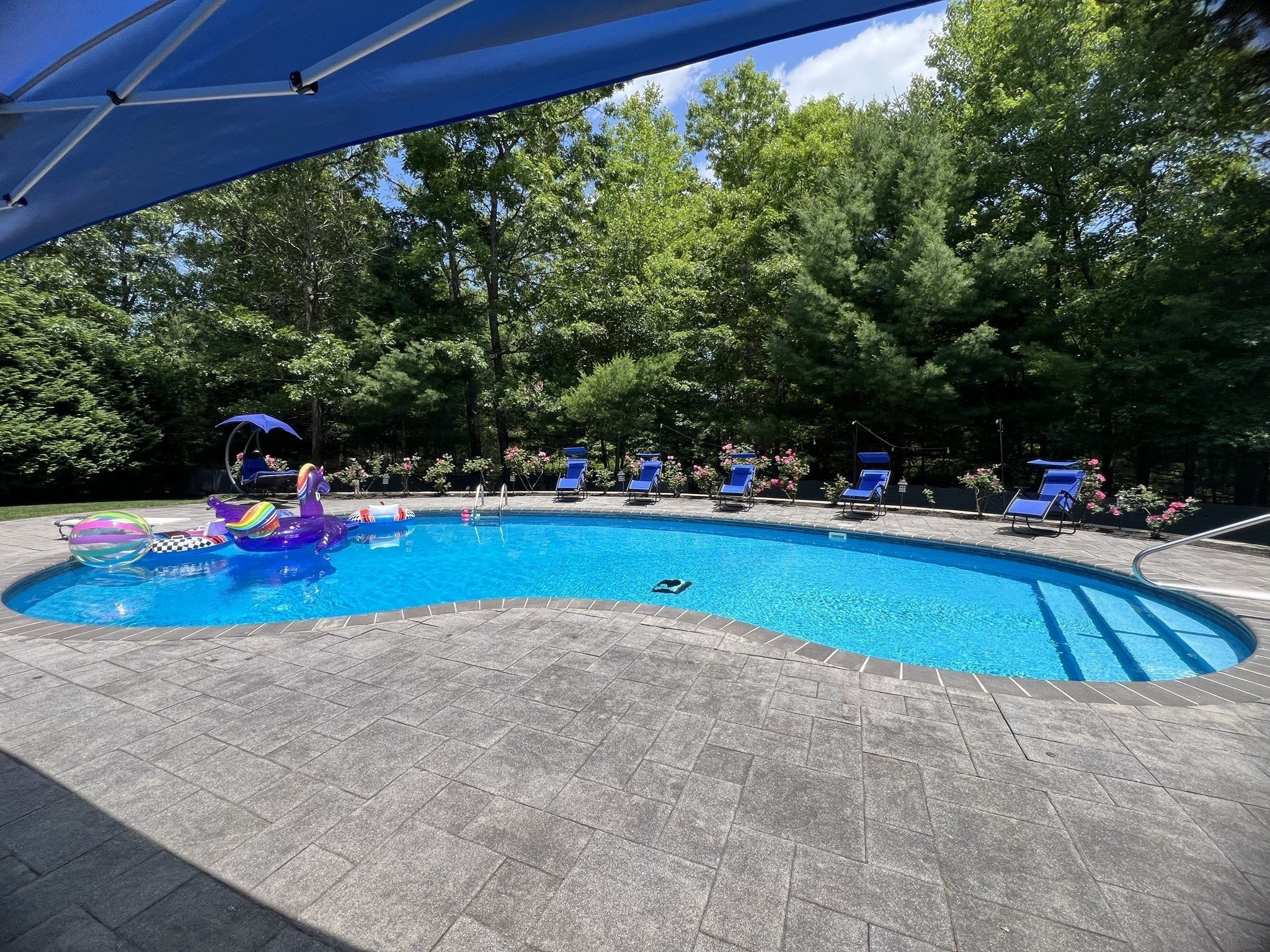 6 Buddys Crossing, Freetown, MA Photo #37