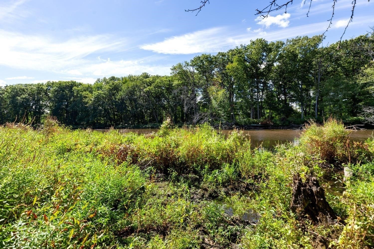 470 Quinobequin RD, Newton, MA, 470 Quinobequin RD, Newton, MA Photo #42