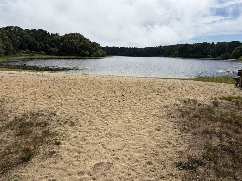 236 Blueberry Pond Dr, Brewster, MA, 236 Blueberry Pond Dr, Brewster, MA Photo #39