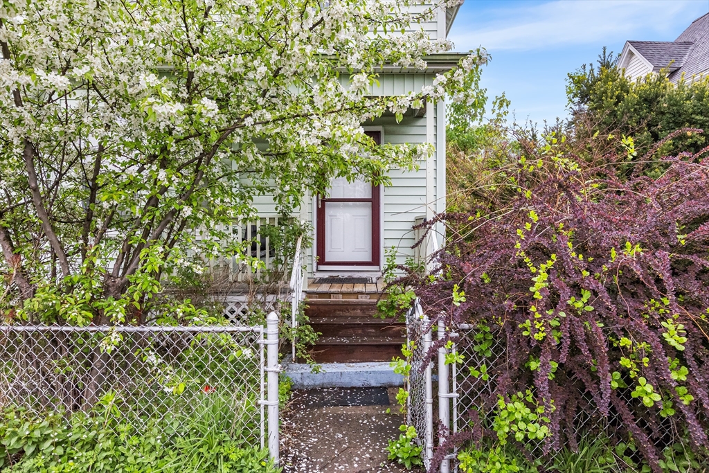 44 Elmwood Ave