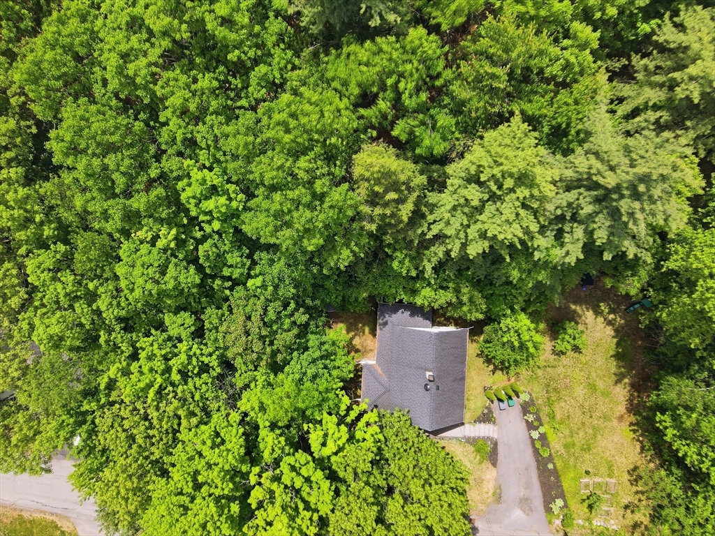 20 Highview Street
