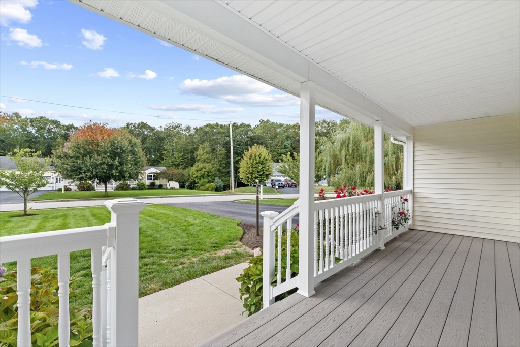 38 Springdale Avenue