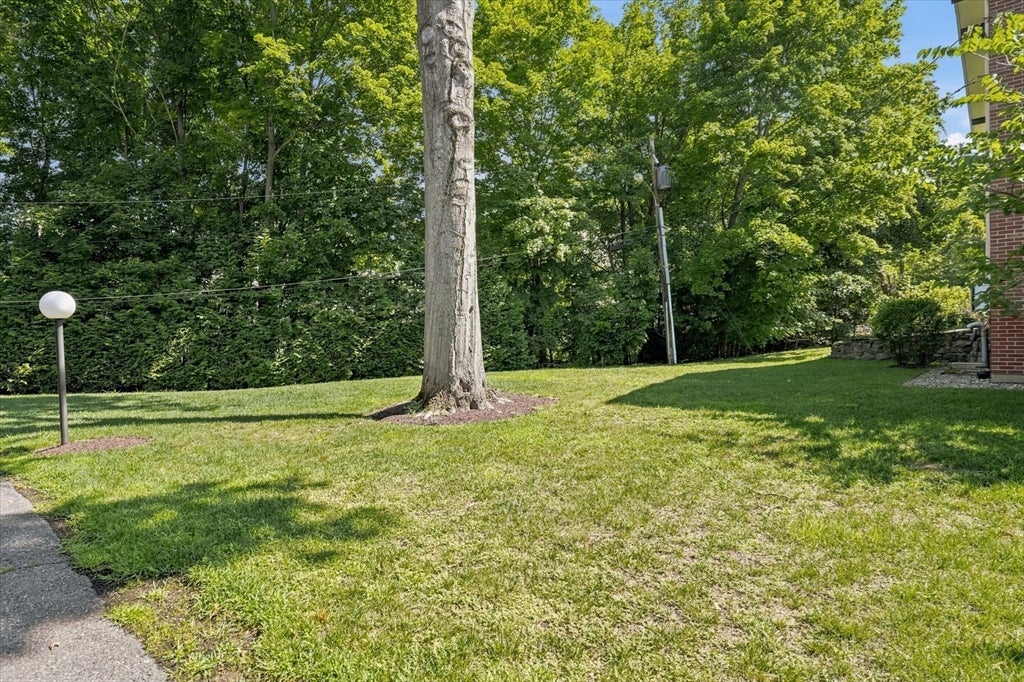 3 Longwood Dr #103, Andover, MA, 3 Longwood Dr #103, Andover, MA Photo #23