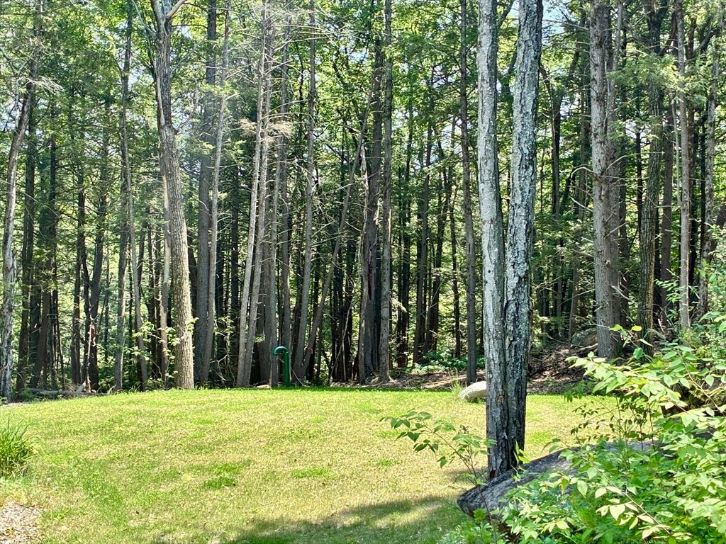 12 Lambs Cove Rd, Phillipston, MA, 12 Lambs Cove Rd, Phillipston, MA Photo #35