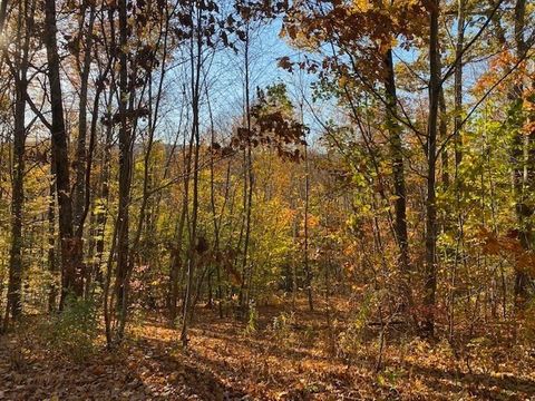 539 Fox Hill Road Bernardston MA 01337