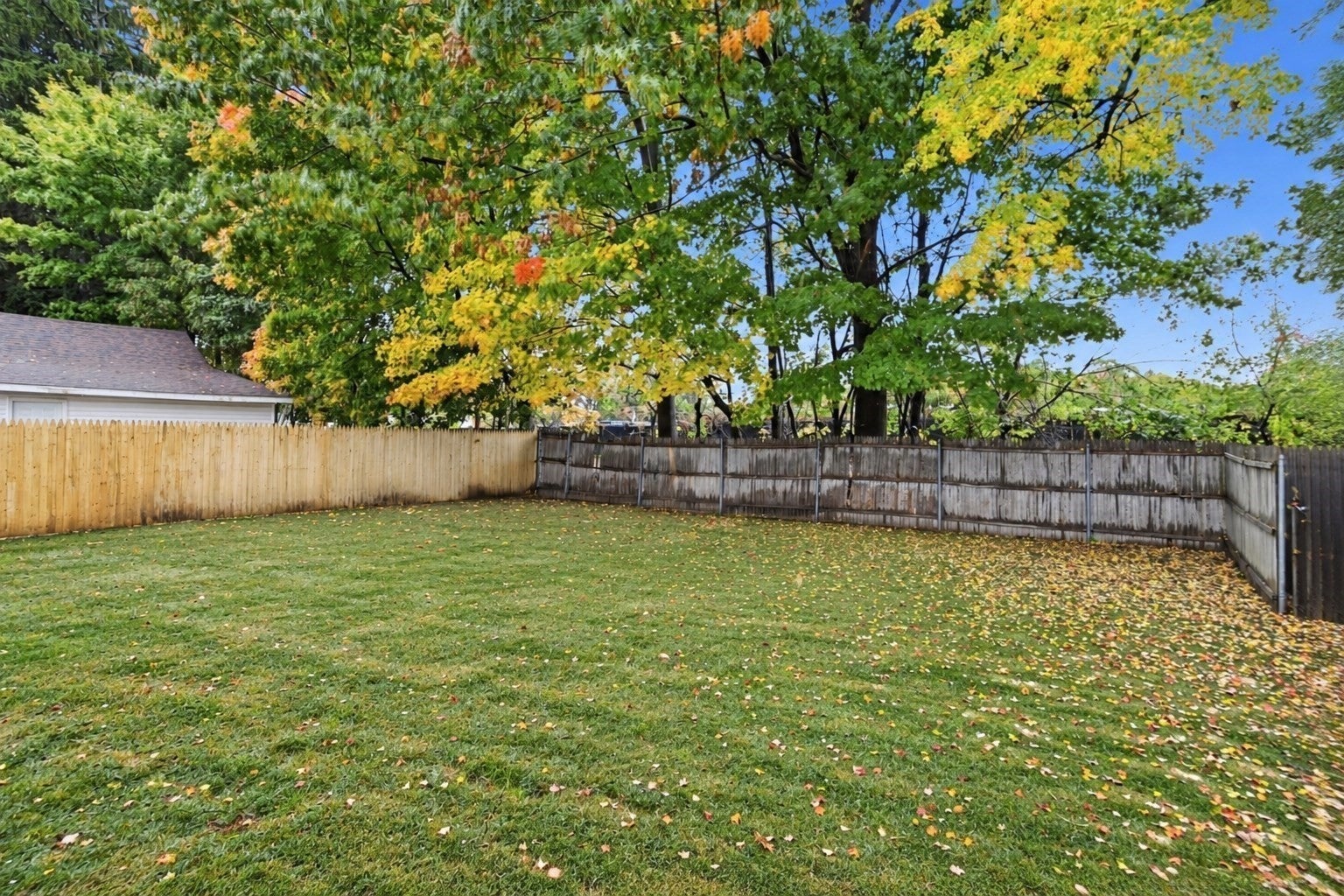 167 Dorset St, Springfield, MA, 167 Dorset St, Springfield, MA Photo #5