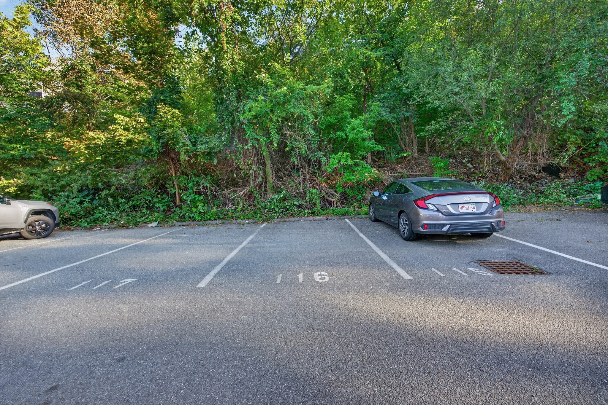 148 Newton Street #2, Boston, MA, 148 Newton Street #2, Boston, MA Photo #32