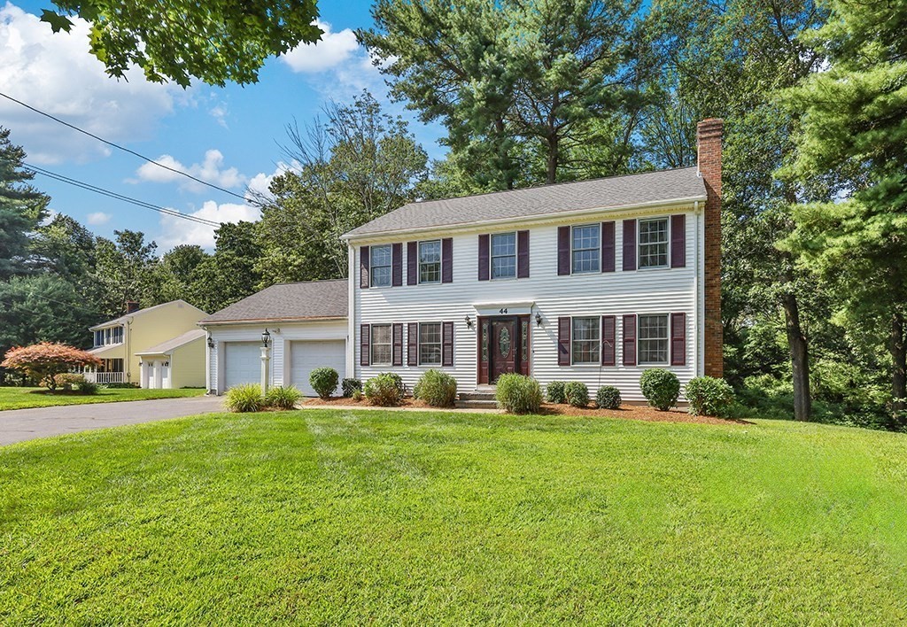 44 Winterberry